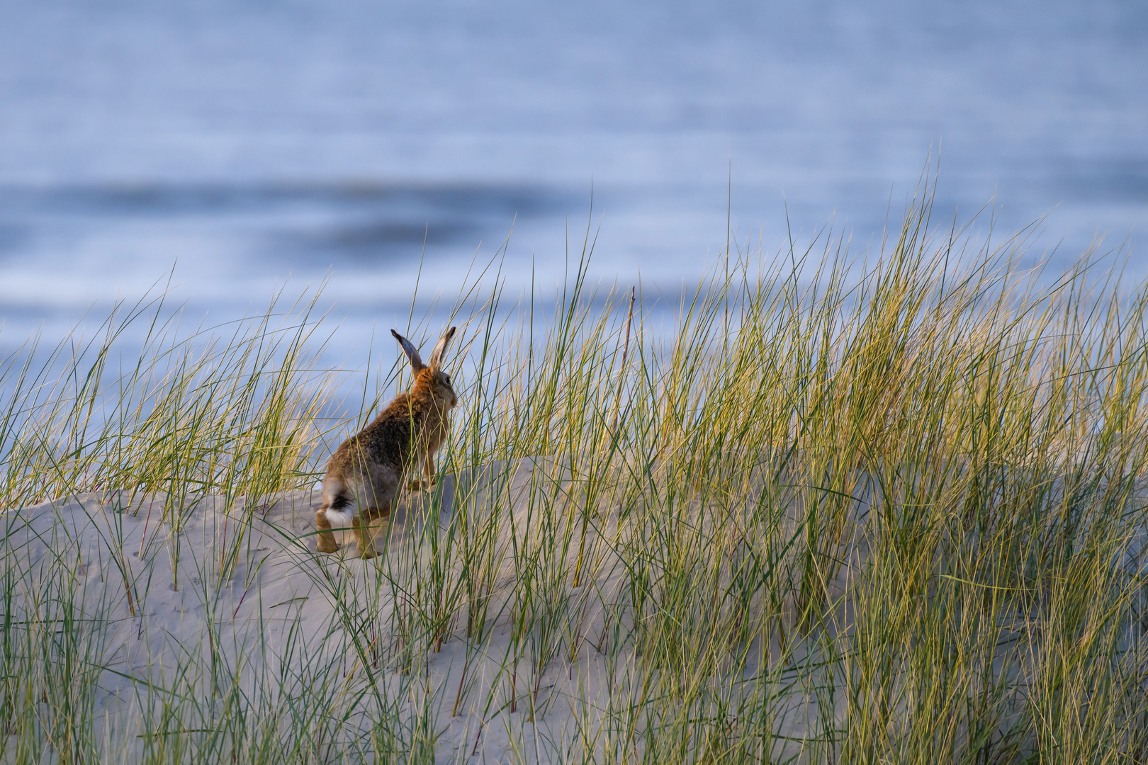 ein Blick auf's Meer...