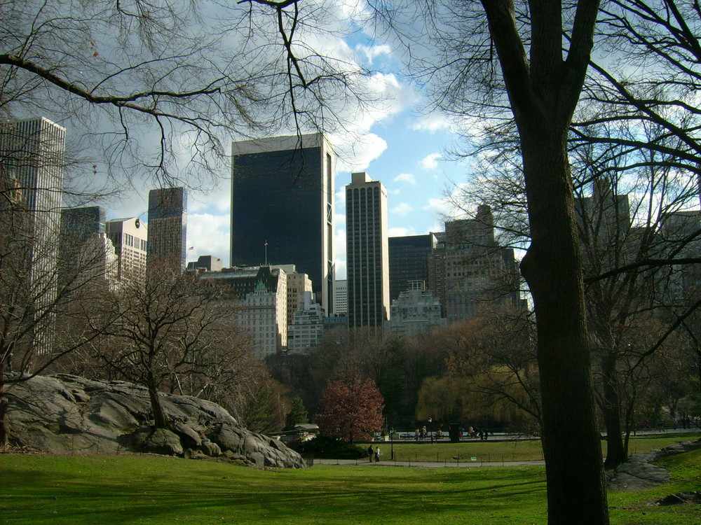 Ein Blick aus dem Central Park in New York City