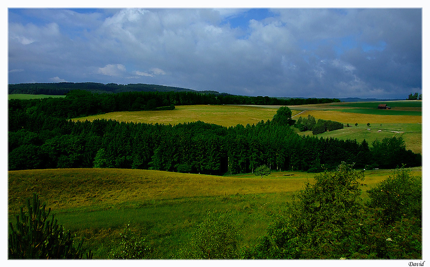 Ein Blick aus dem Fenster...