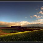 « Ein Blick aus dem Fenster... »