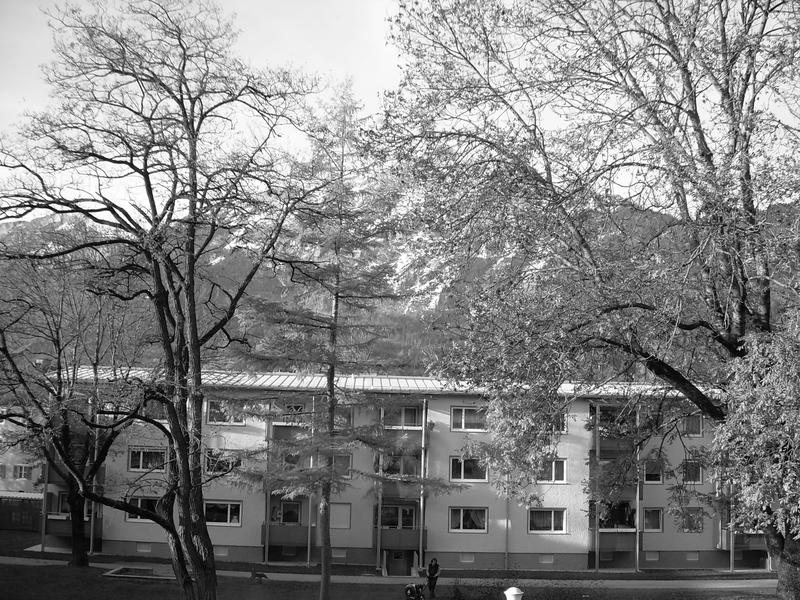 Ein Blick aus dem Fenster