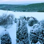 Ein Blick aus dem Fenster, am 13.01.2017