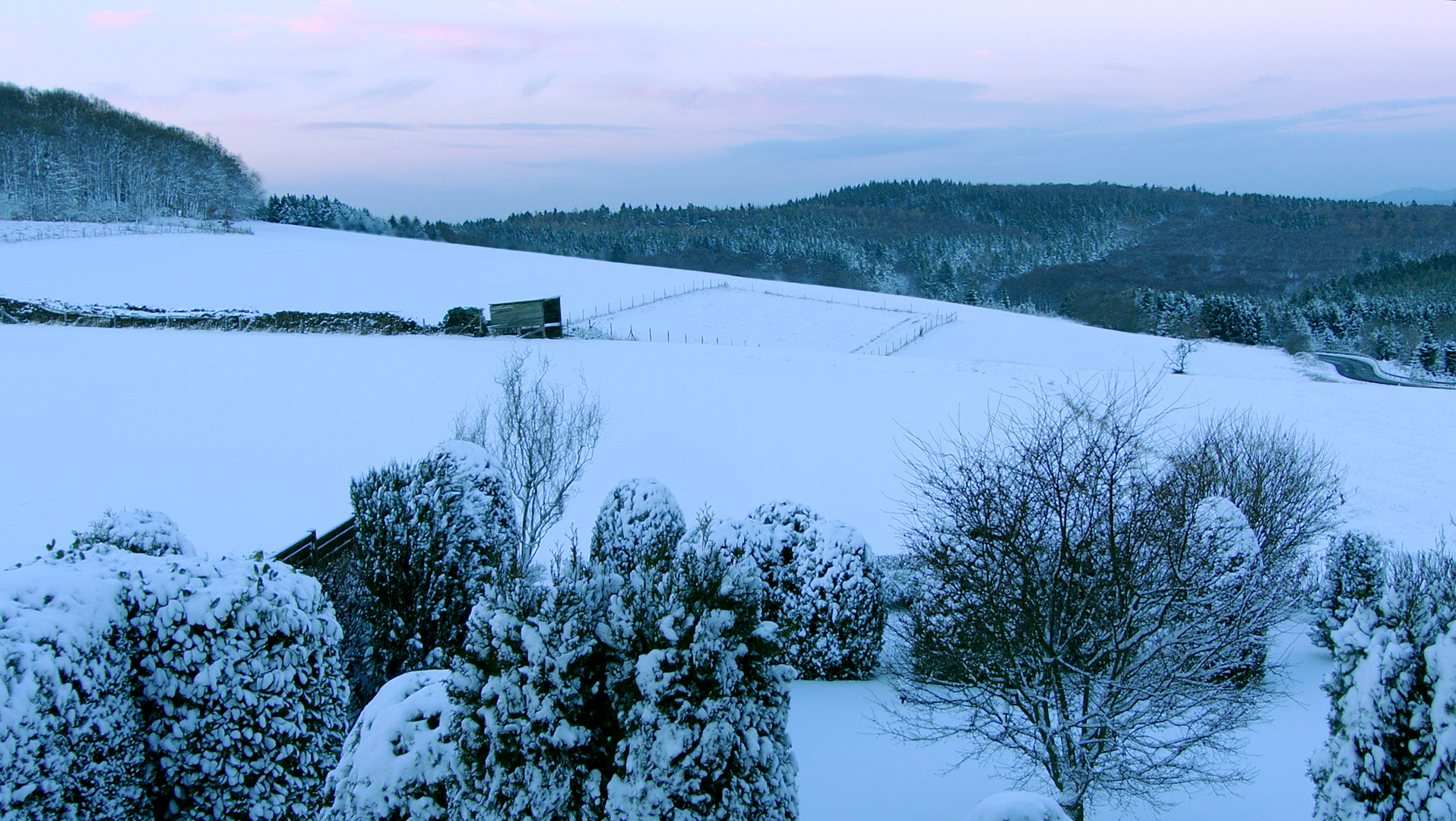 Ein Blick aus dem Fenster, am 13.01.2017