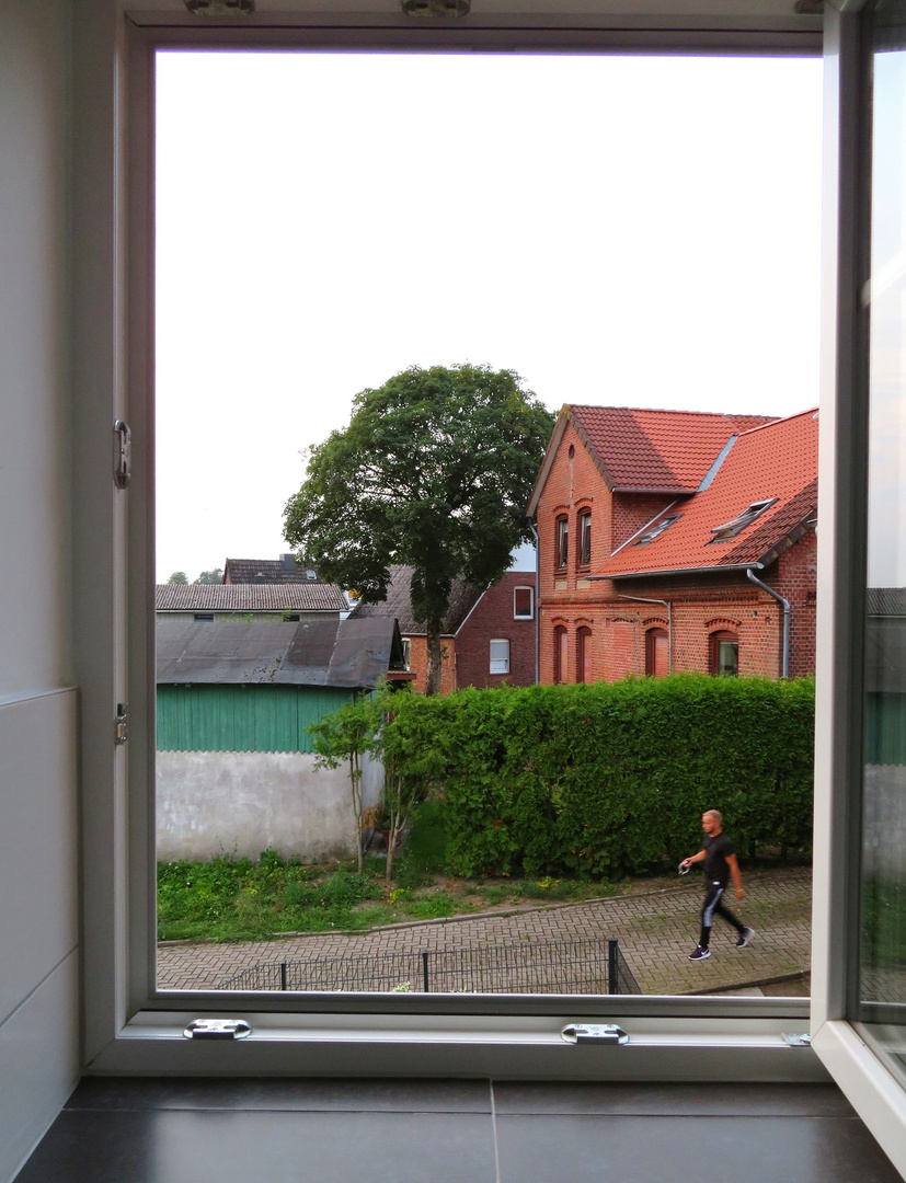 ein Blick aus dem Fenster Foto & Bild dokumentation