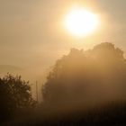 ein Blick aus dem Wohnzimmerfenster