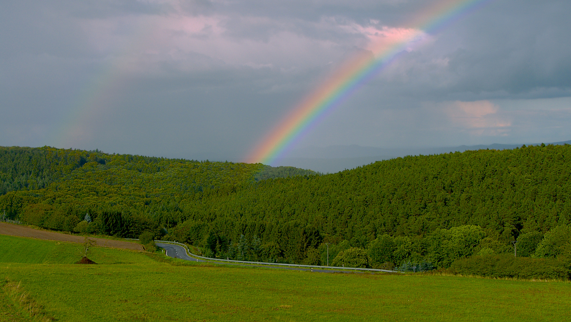 Ein Blick aus meinem Fenster.... und plötzlich, war er da.....