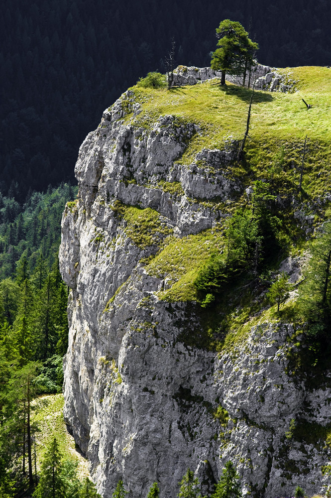 ein Blick aus TLSTÁ