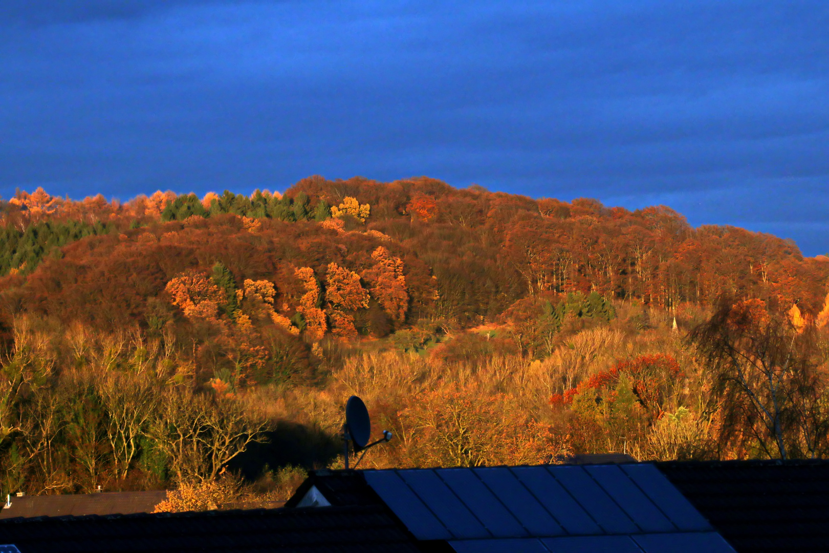 Ein Blick aus unserem Fenster