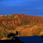 Ein Blick aus unserem Fenster