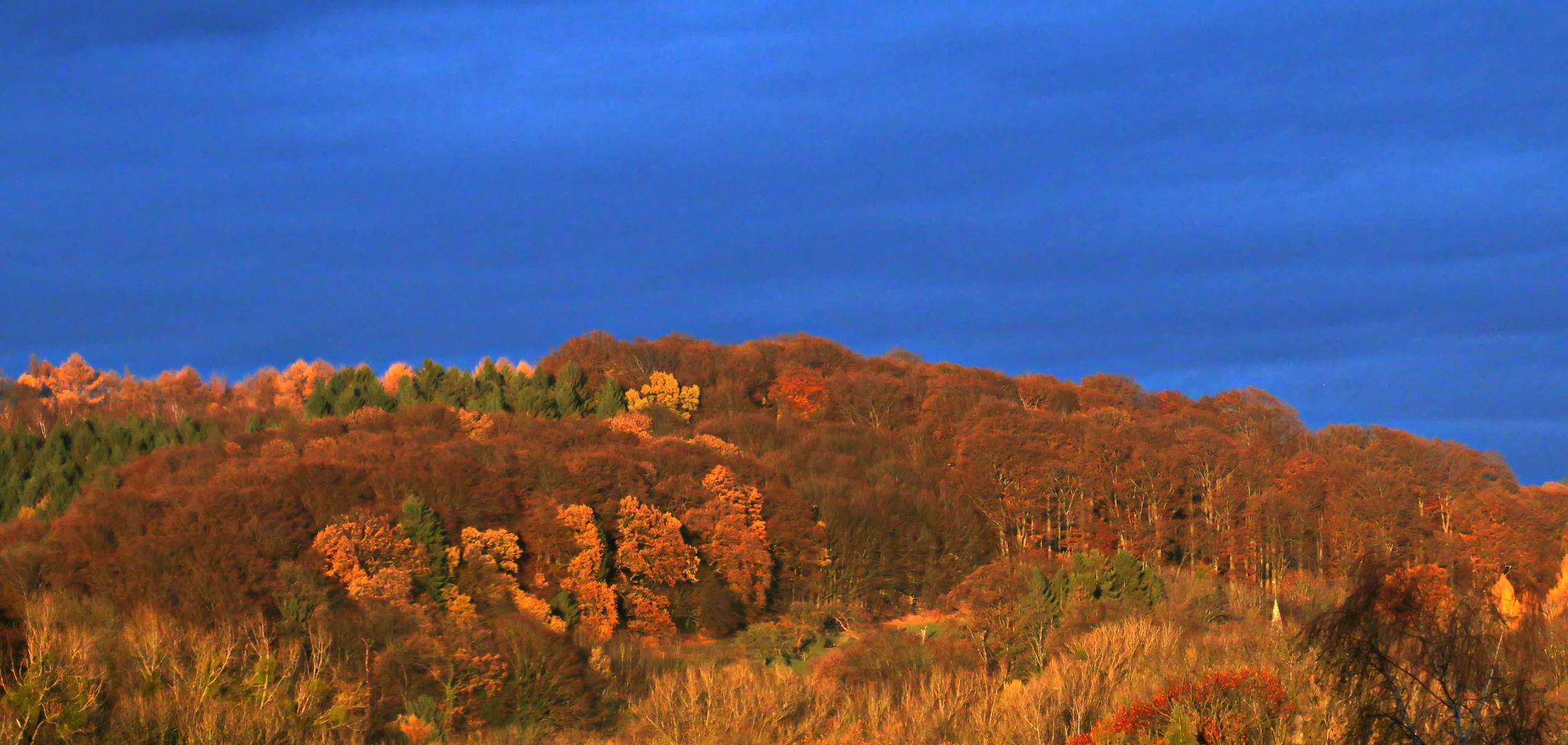 Ein Blick aus unserem Fenster - andere Fassung