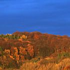 Ein Blick aus unserem Fenster - andere Fassung