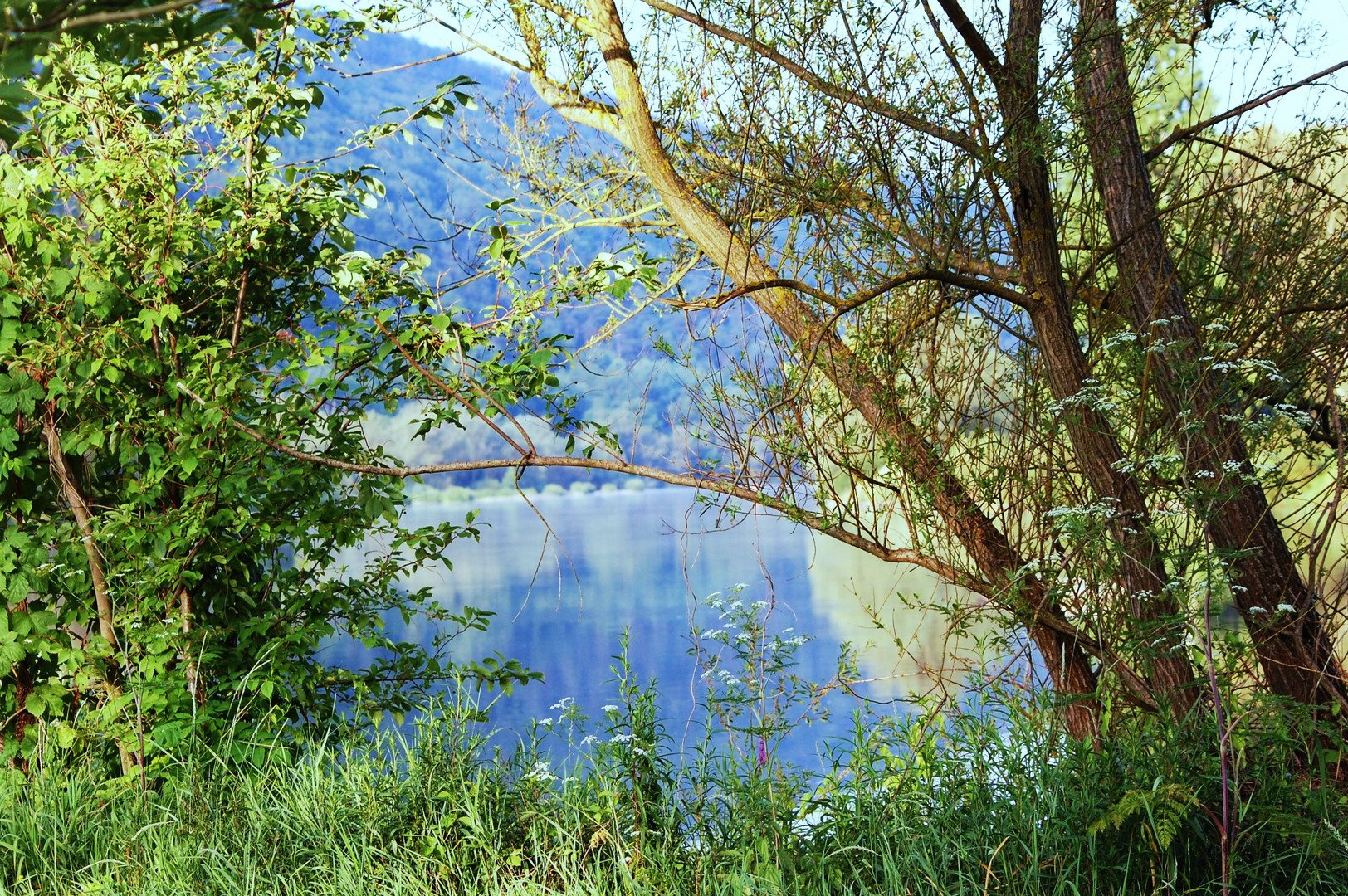 Ein Blick der sich lohnt