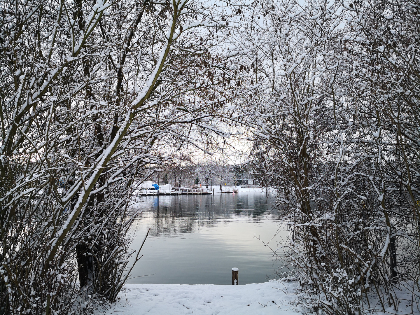 Ein Blick durch den Winter 