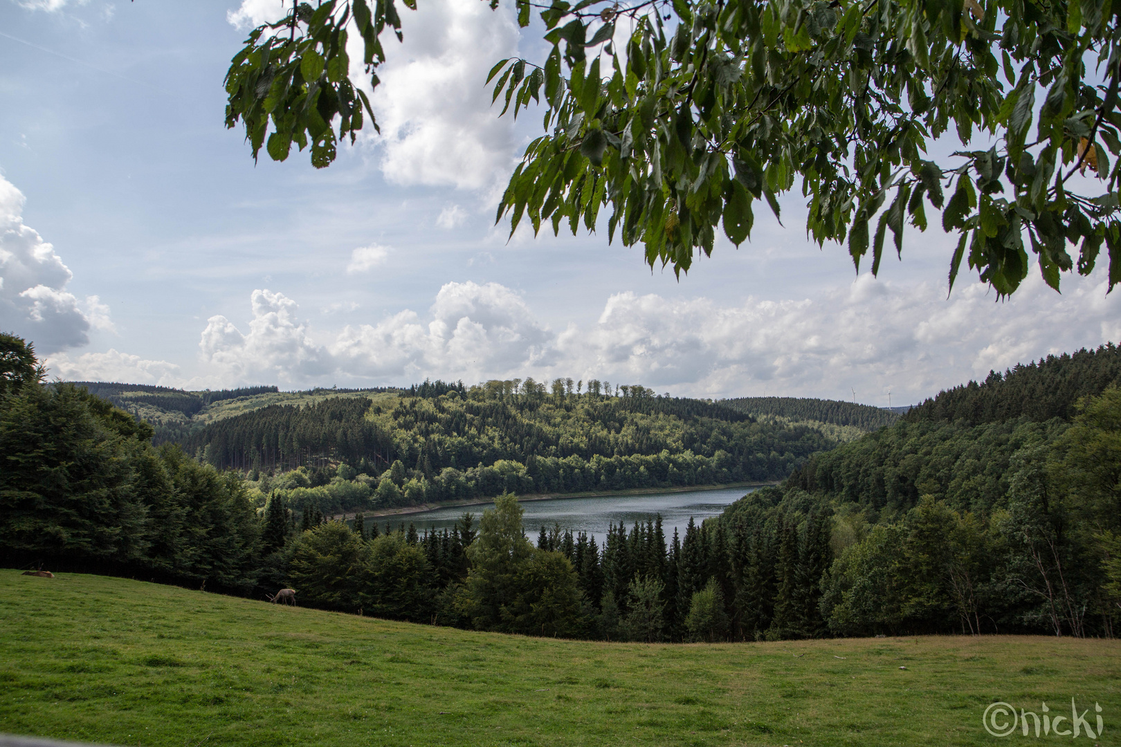 Ein Blick in das Tal