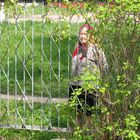 Ein Blick in den Garten des Kindergartens "Schneewittchen" in Brjansk / Tschernobylregion / Russland