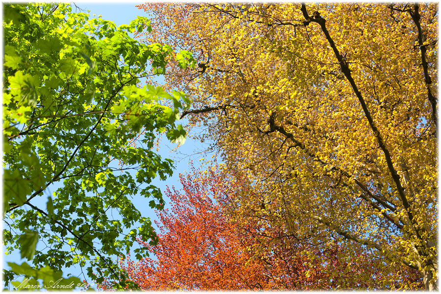 Ein Blick in den Maihimmel