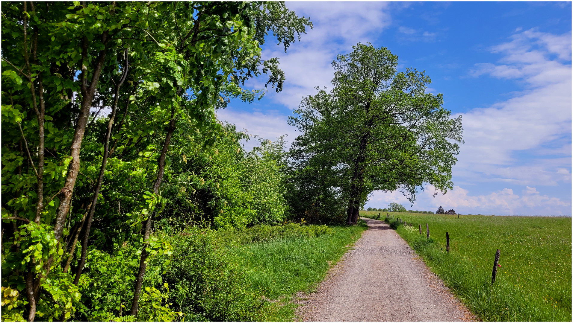 Ein Blick in den Sommer