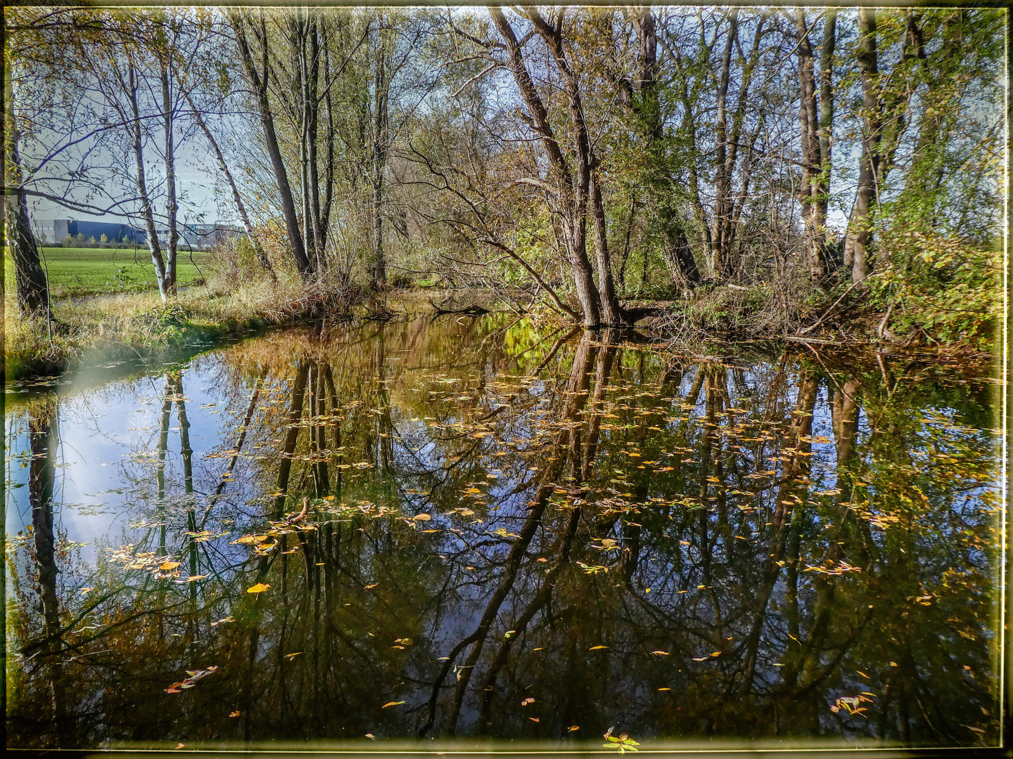 EIN BLICK IN DEN TEICH.........