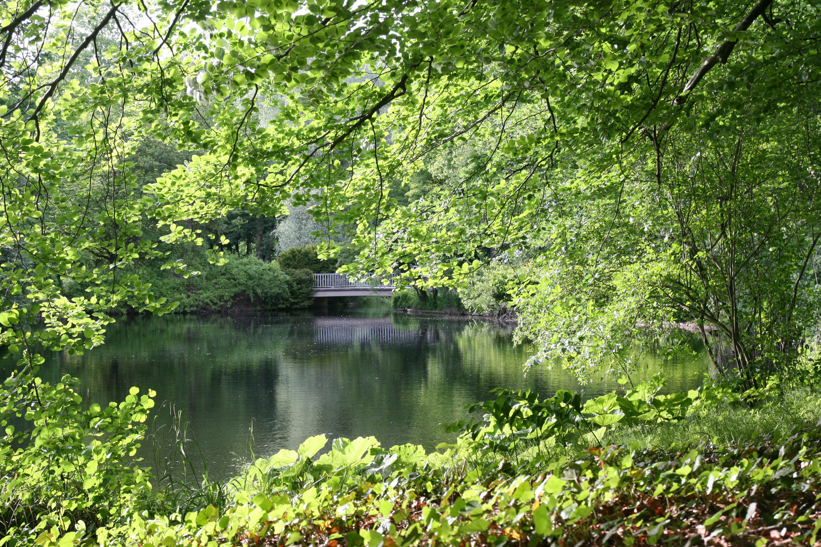 Ein Blick in den "Tiergarten" von Berlin)