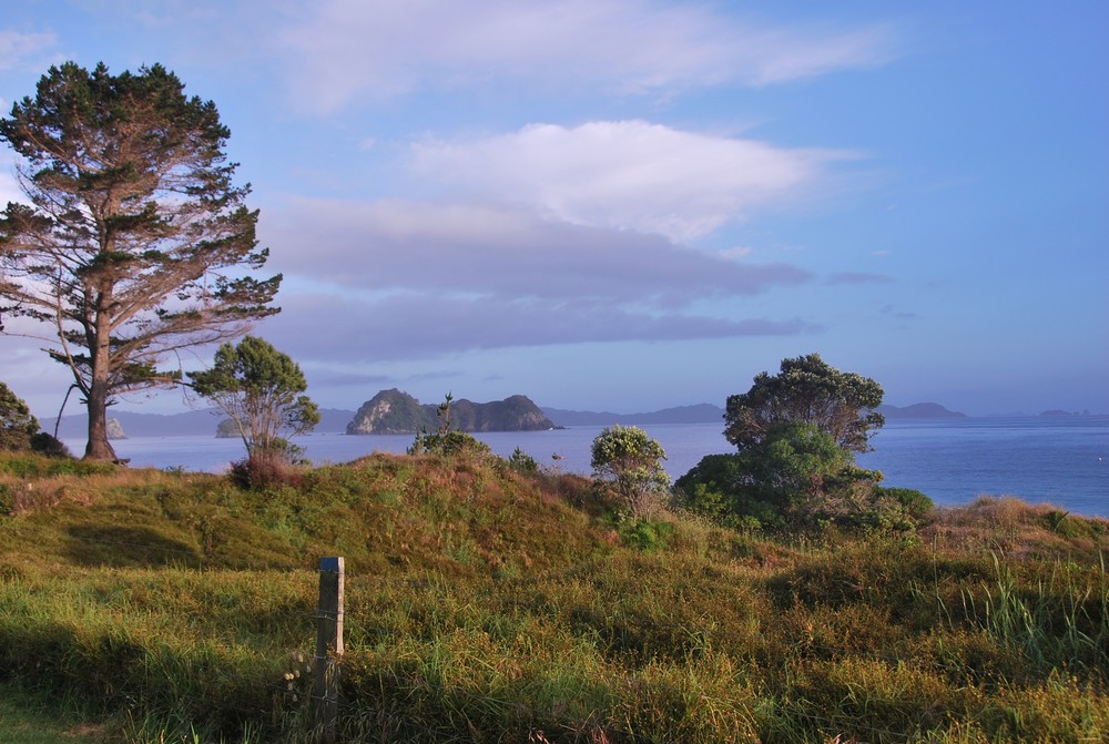 Ein blick in die Bucht von Hahei/Coromandel