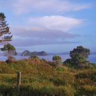 Ein blick in die Bucht von Hahei/Coromandel