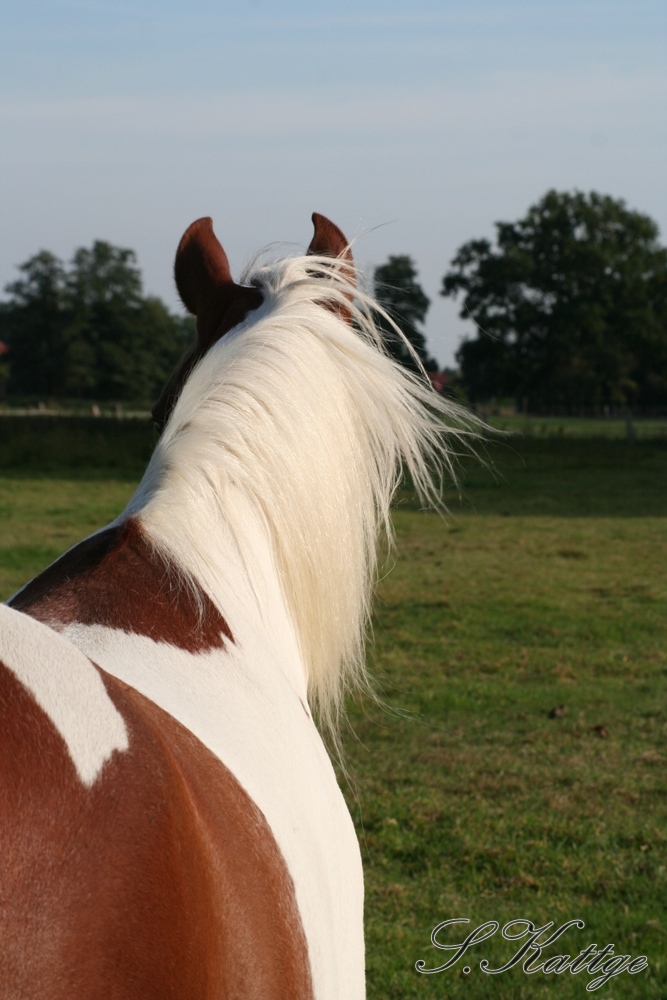 Ein Blick in die Ferne