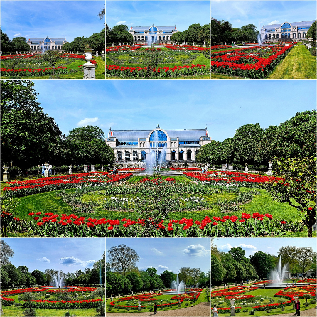 ein Blick in die Kölner Flora