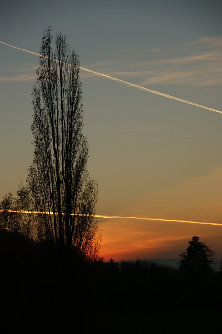 Ein Blick in die Leinemasch