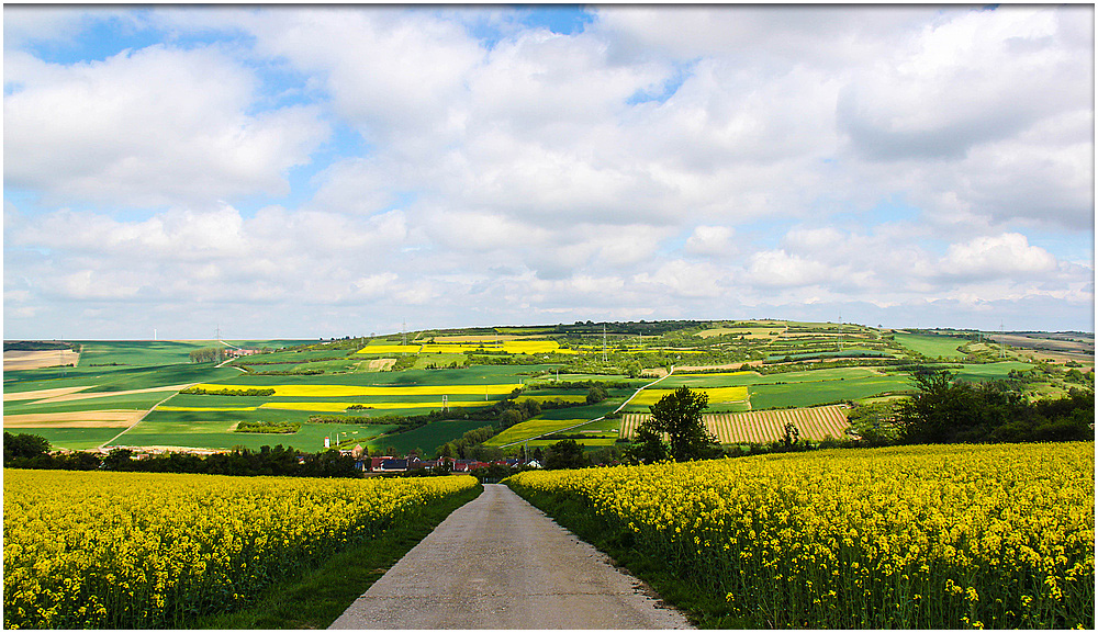 EIN BLICK IN DIE PFÄLZER LANDSCHAFT