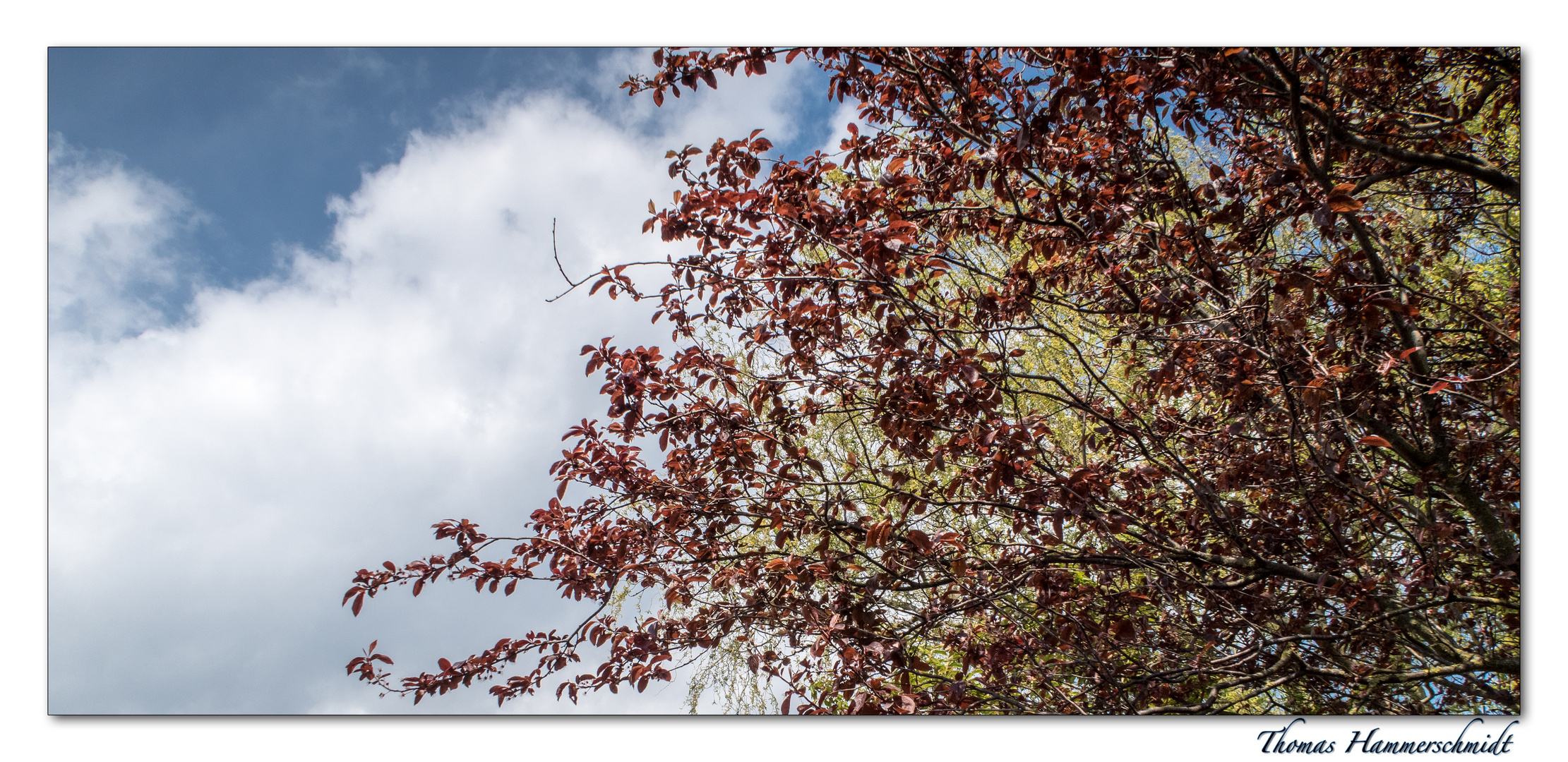 Ein Blick in die Wolken mit ein paar Farben