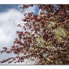 Ein Blick in die Wolken mit ein paar Farben