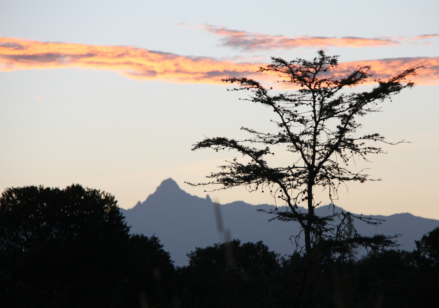 ein Blick in herrlichen Morgenstimmung auf den Mount Kenya