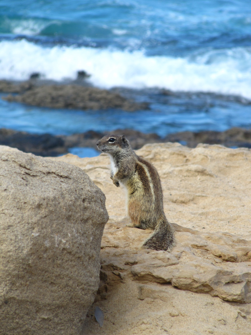 Ein Blick in Meer