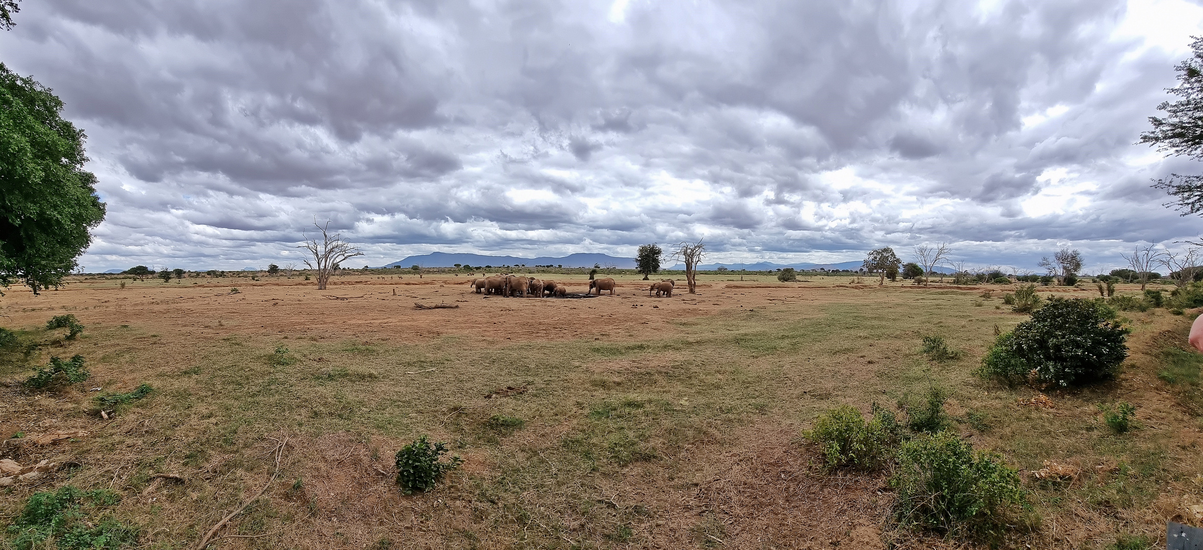 Ein Blick in Tsavo Ost