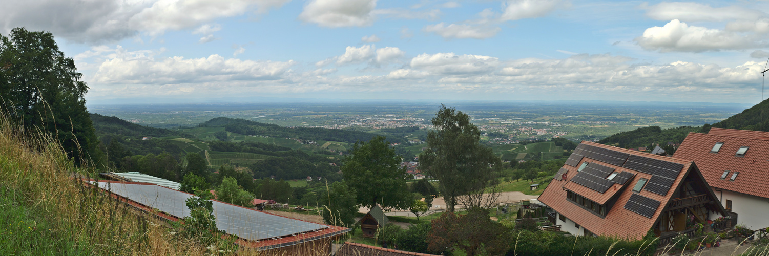 Ein Blick ins Rheintal Panorama 2