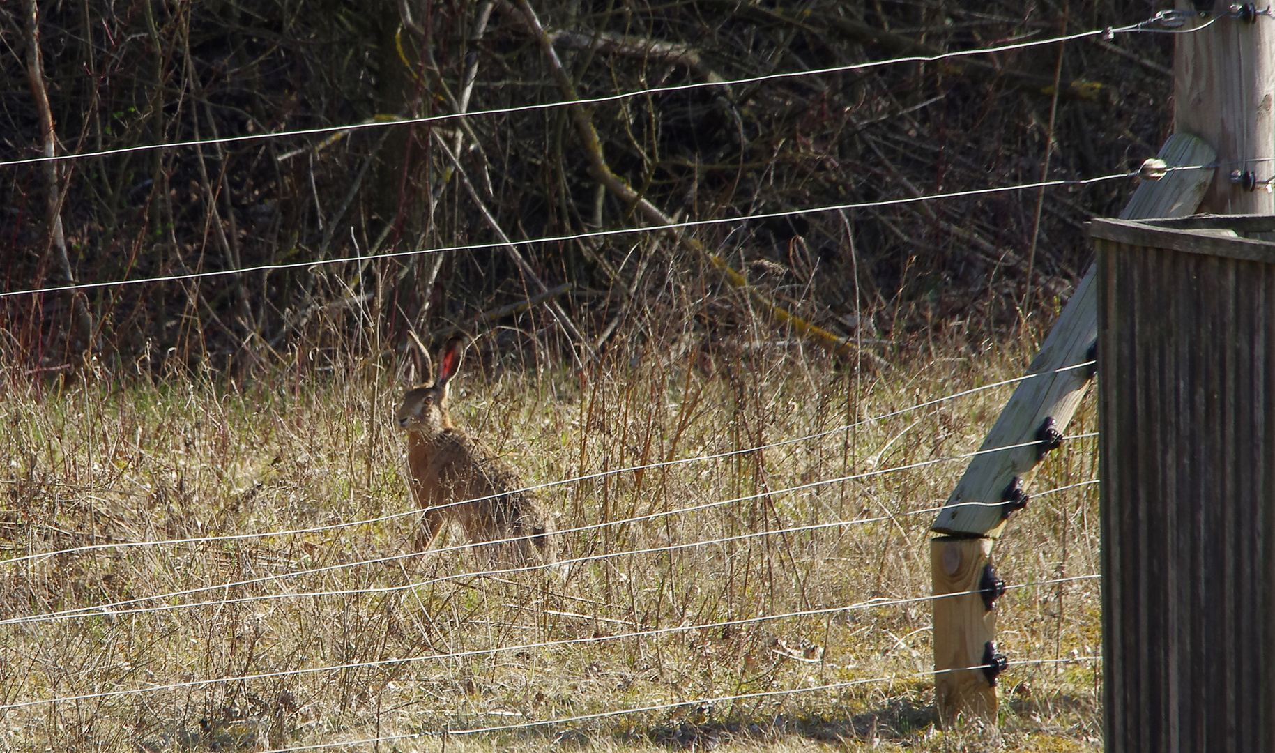 ...ein Blick ins Umfeld vom Biotop