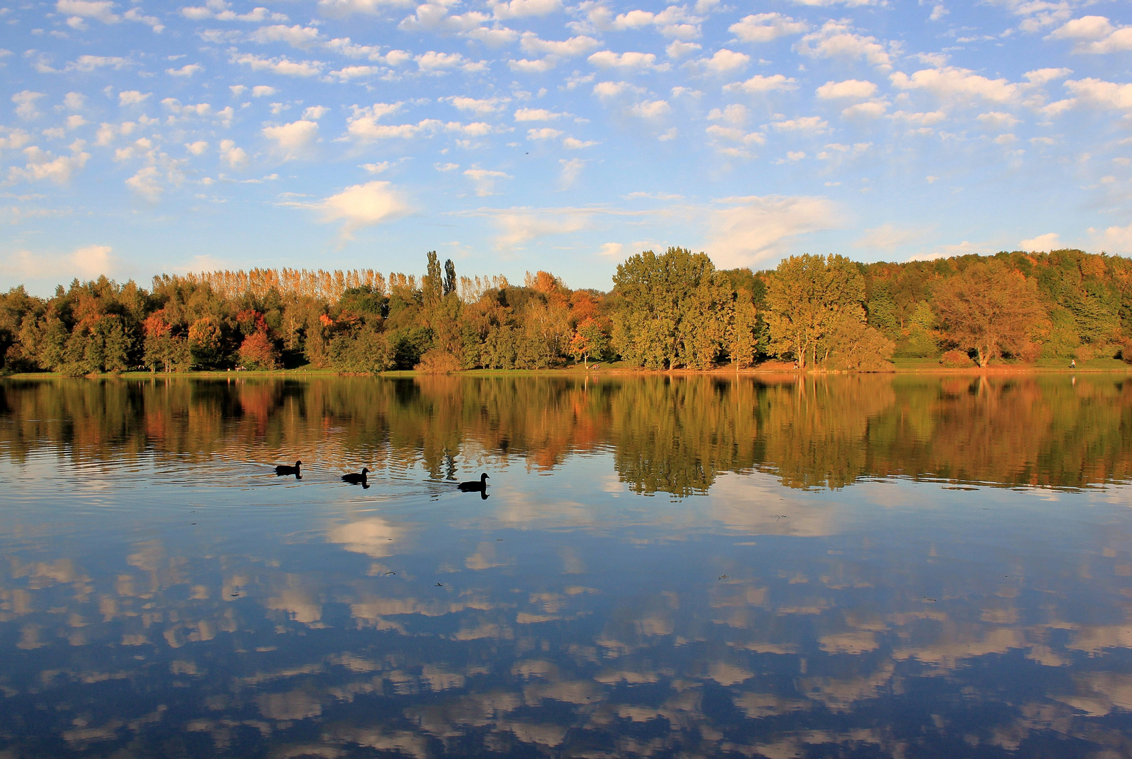 Ein Blick ins Wasser