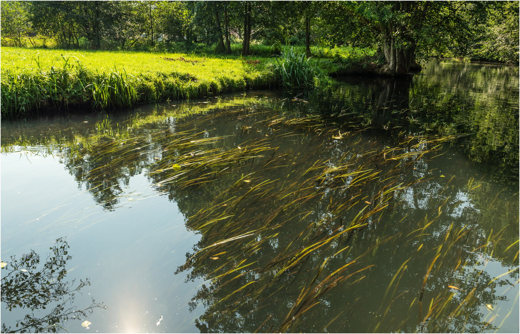 Ein Blick ins Wasser