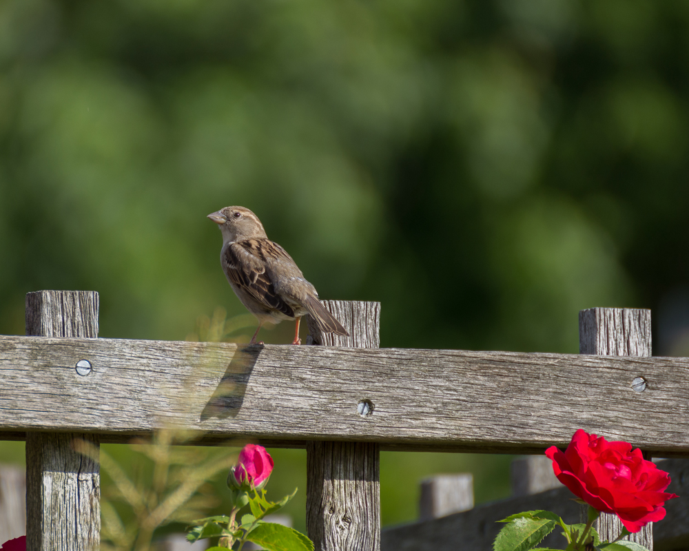 Ein Blick nach links