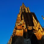 ein Blick nach Oben ...(das Ulmer Münster in der Nachmittagsonne)