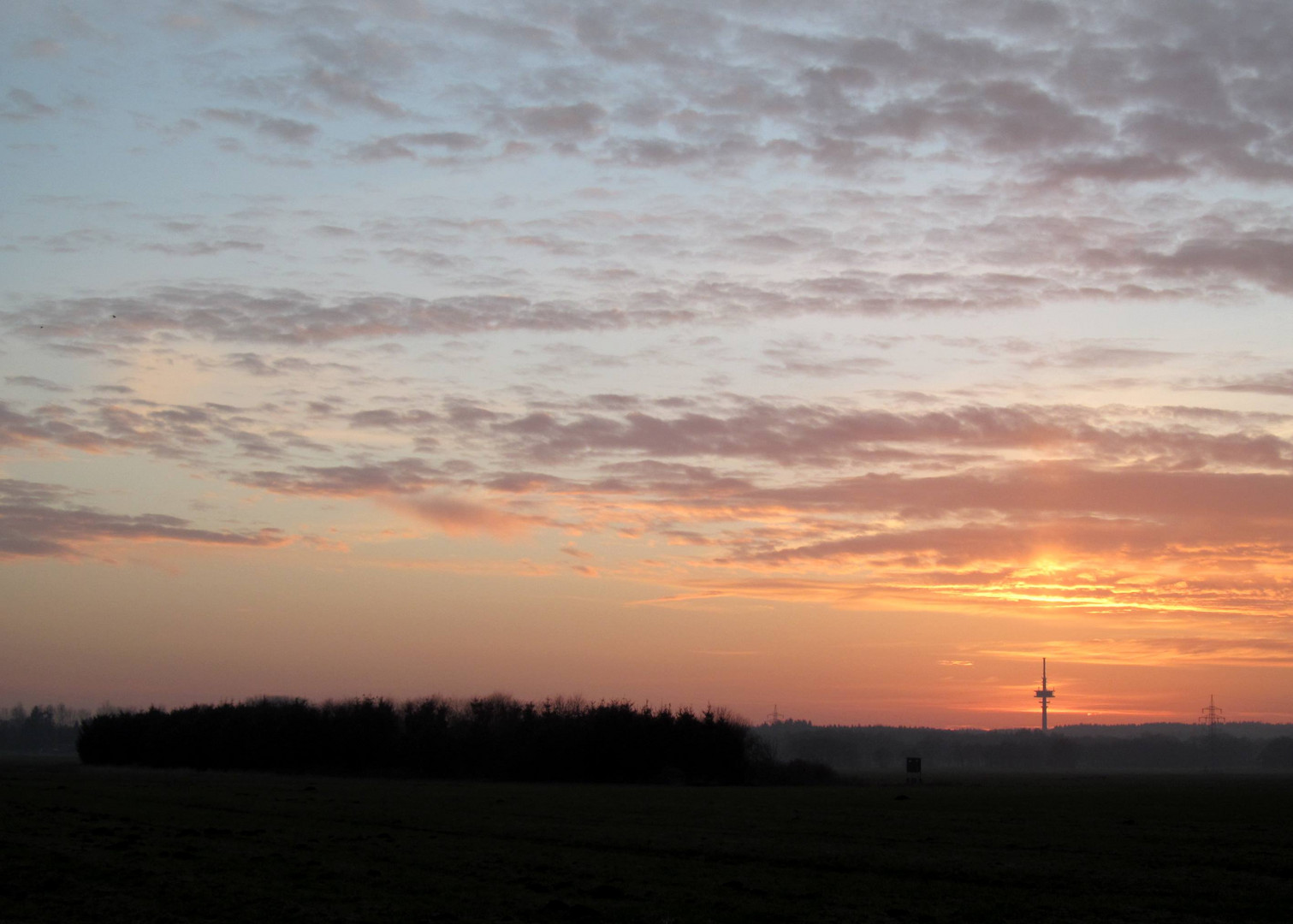 ein Blick über das Moor ...