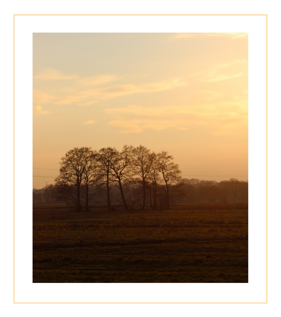 ein Blick über das Moor ... 