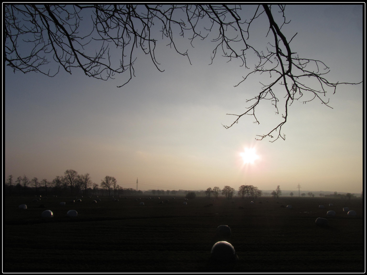 ein Blick über das Moor ...