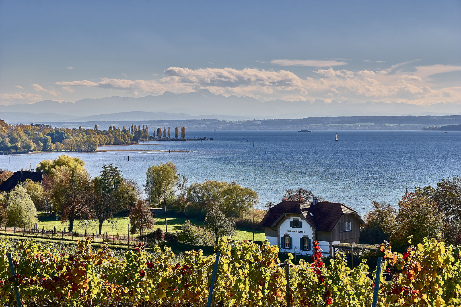 Ein Blick über den Bodensee