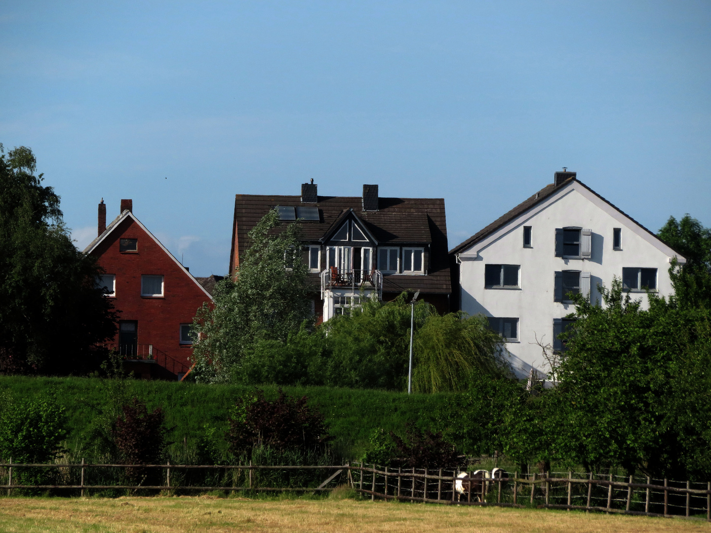 ein Blick über den Deich ...