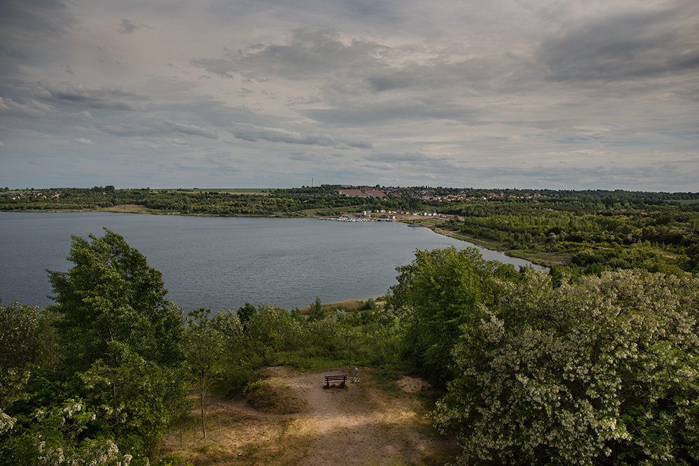 Ein Blick über den Geiseltalsee