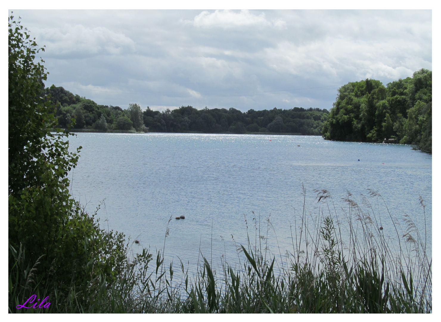 Ein Blick über den Kreidesee 