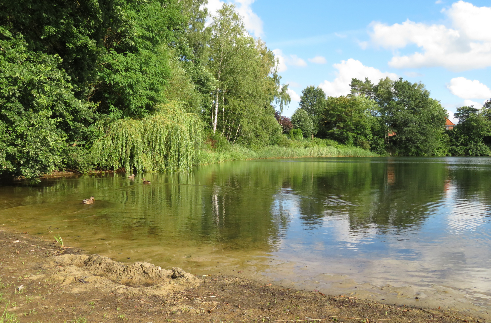 ein Blick über den See ...