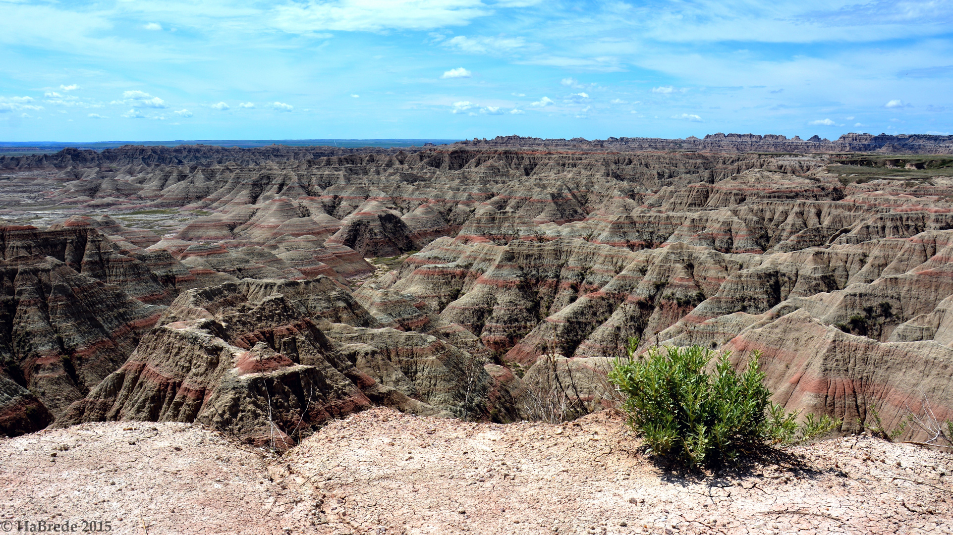 Ein Blick über die Badlands 