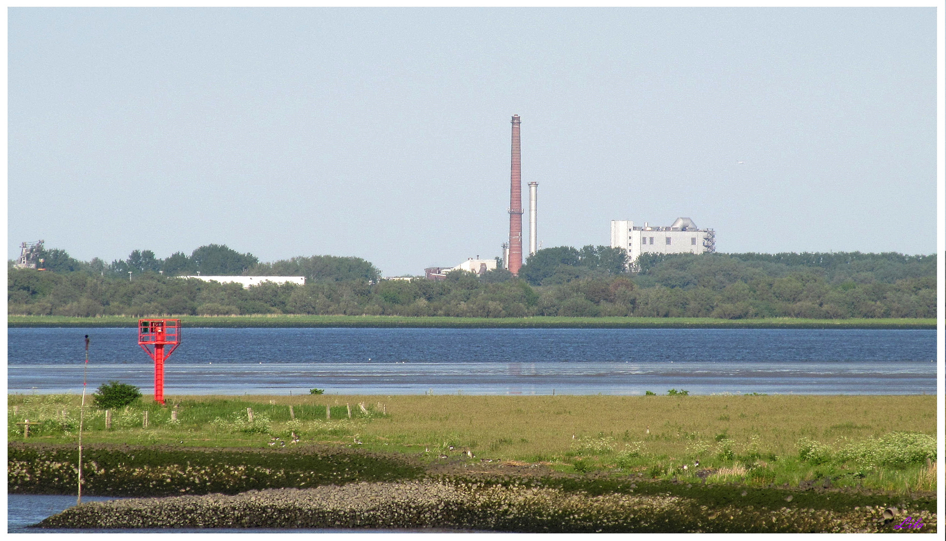 ein Blick über die Elbe Richtung Schleswig Holstein